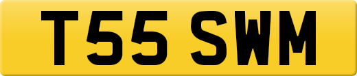 T55SWM