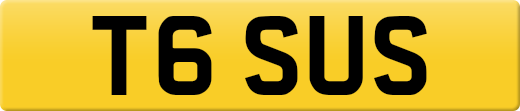 T6SUS