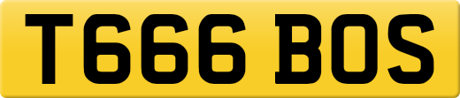 T666BOS