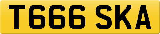 T666SKA
