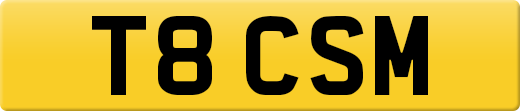 T8CSM