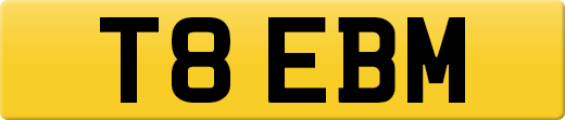 T8EBM