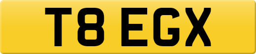 T8EGX