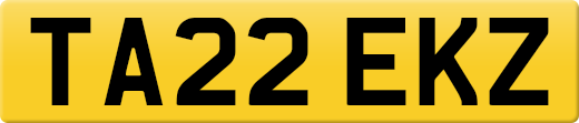 TA22EKZ
