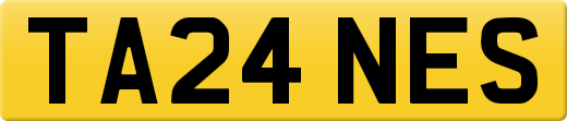 TA24NES