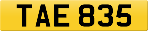TAE835