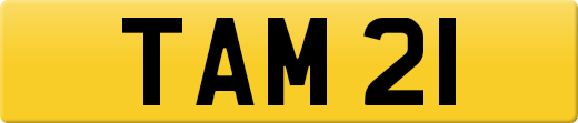 TAM21