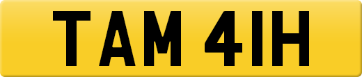 TAM41H