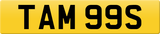TAM99S