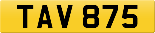 TAV875