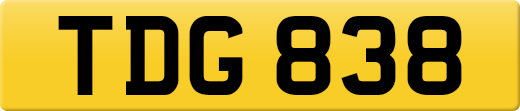 TDG838
