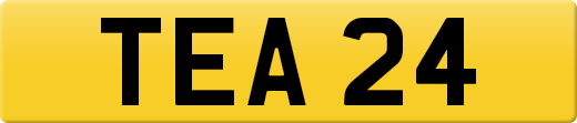 TEA24