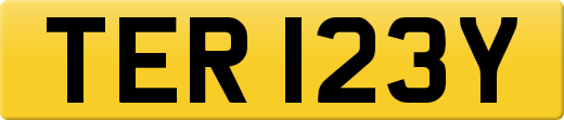 TER123Y