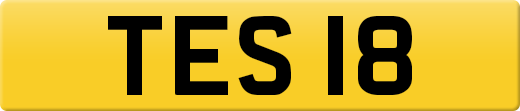 TES18