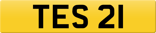 TES21