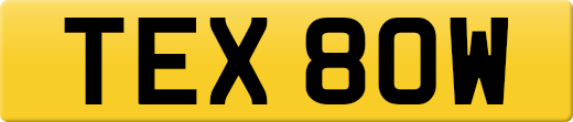 TEX80W