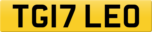 TG17LEO