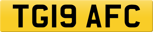 TG19AFC