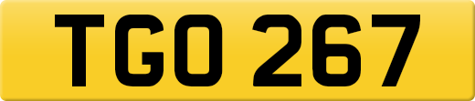 TGO267
