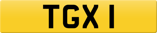 TGX1