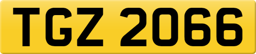 TGZ2066