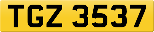 TGZ3537