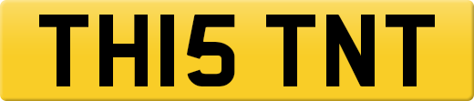 TH15TNT