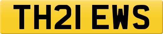 TH21EWS