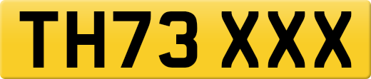 TH73XXX