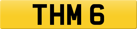 THM6