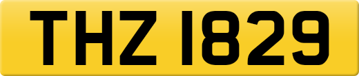 THZ1829