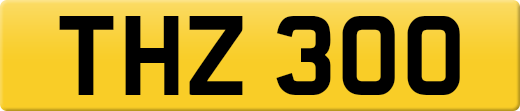 THZ300