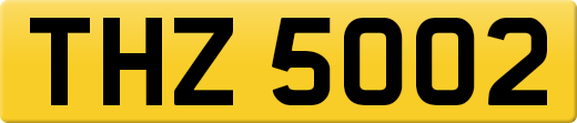 THZ5002