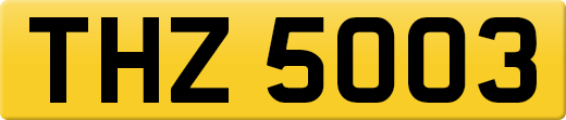THZ5003