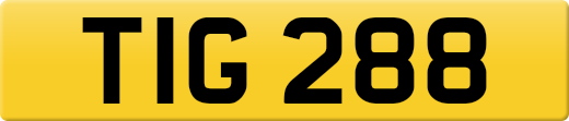 TIG288