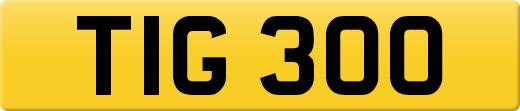 TIG300