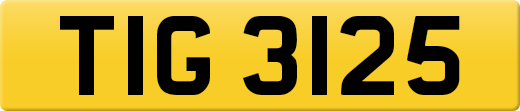 TIG3125