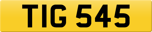 TIG545