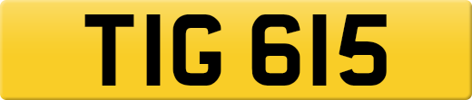 TIG615