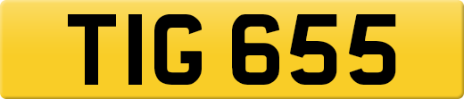 TIG655