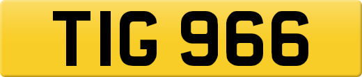 TIG966