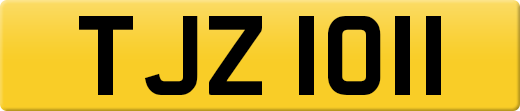 TJZ1011