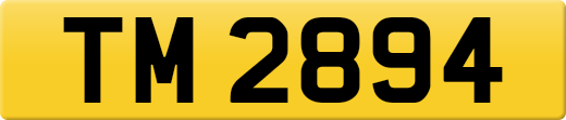 TM2894