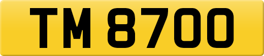 TM8700