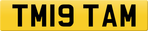 TM19TAM