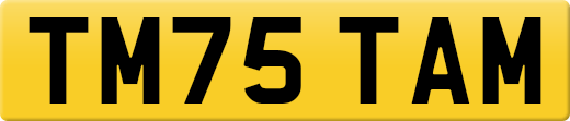 TM75TAM