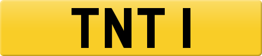 TNT1