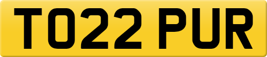 TO22PUR