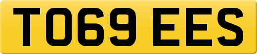 TO69EES