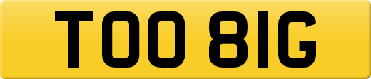 TOO81G